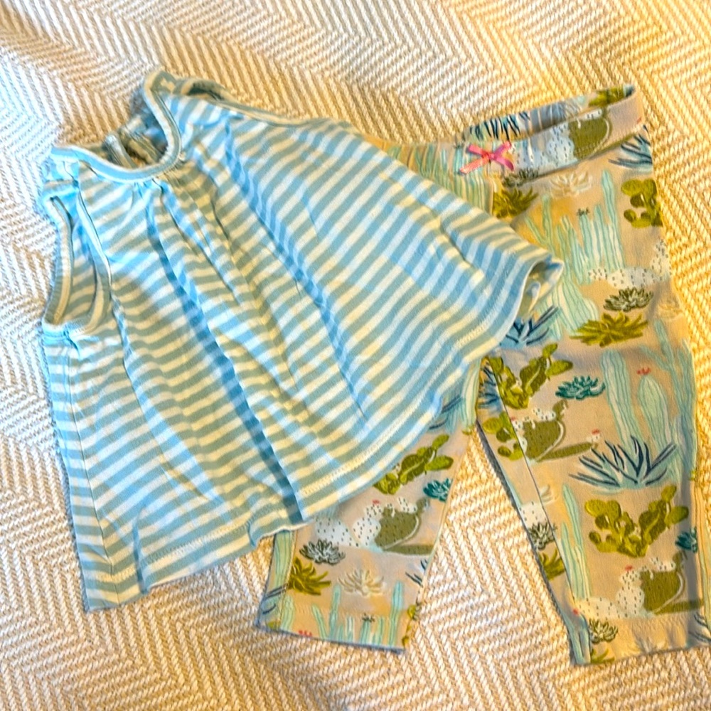 Pink Chicken Cactus Baby Set